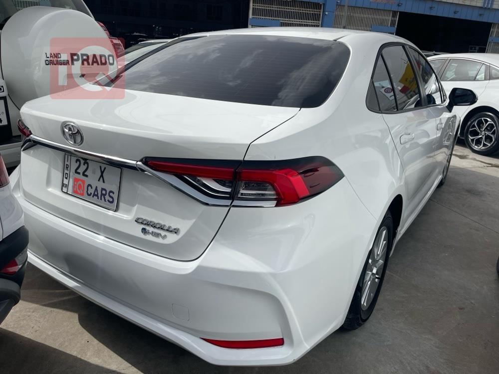 تويوتا كورولا